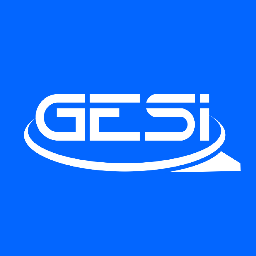 GESI – Rilievi Topografici, Rilievi Laser Scanner ed oltre